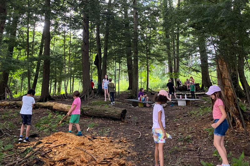 Kids doing a forest activity during the ArtLab Summer Camp