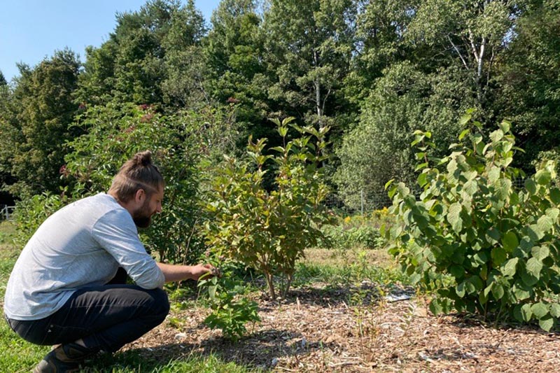 Assessing Ecosystem Service Multifunctionality in Hedgerows at Small-Scale Farms
