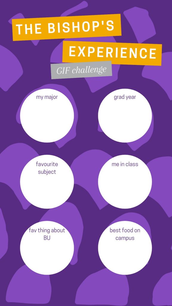 Example of Instagram game "The Bishop's Experience"