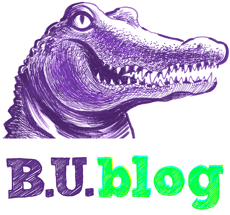 B.U.blog
