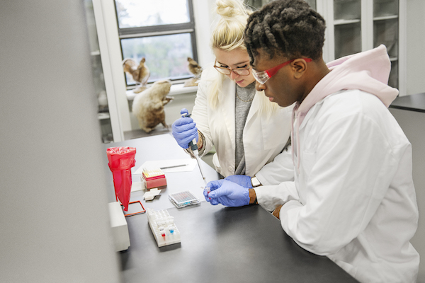 students working in a lab