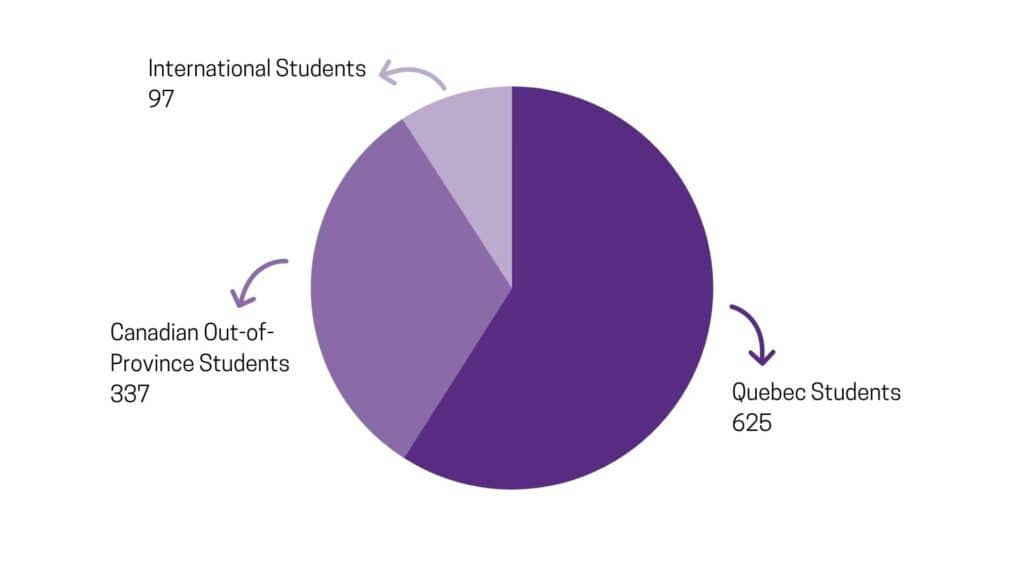 Graph of allocation of scholarships and bursaries to students