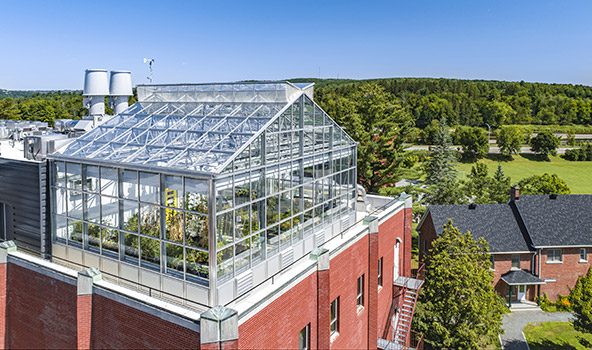 Overview of the greenhouse