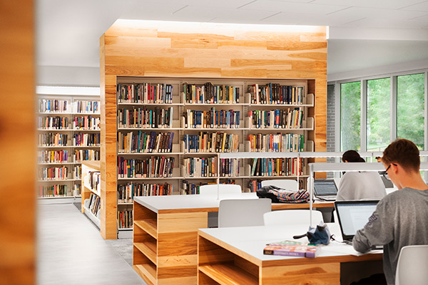 Students in the library