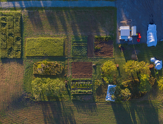 Overview drone photo of the farm