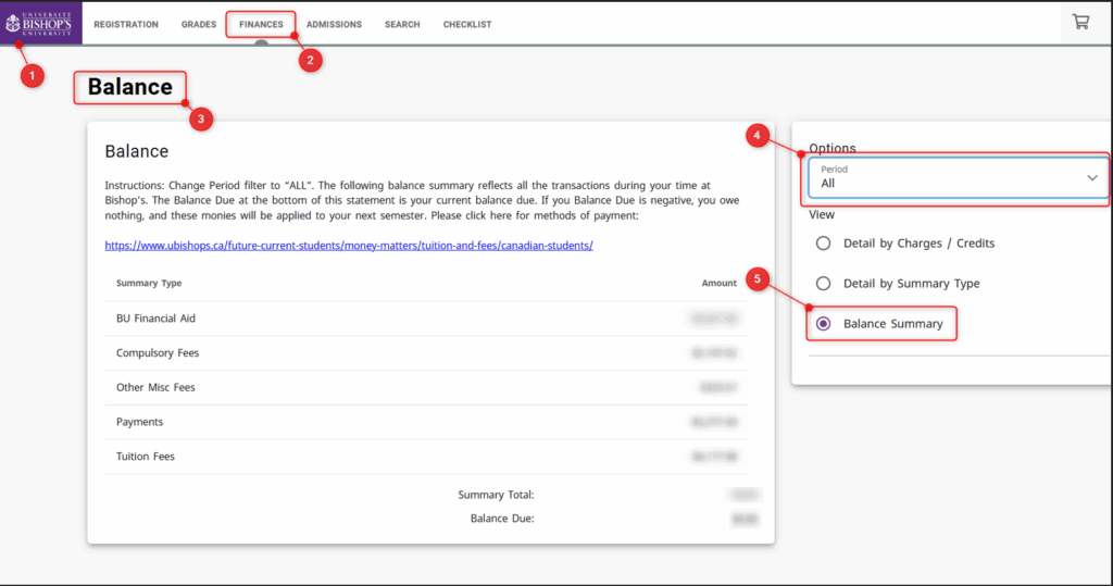 Screenshot showing the steps to view your balance as described in the bullet list above.