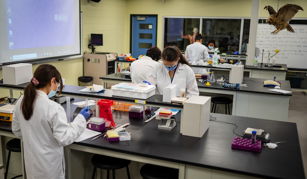 students in a small laboratory