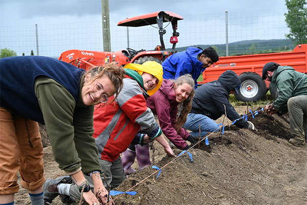 Students working in the field as part of the raspberry production project.