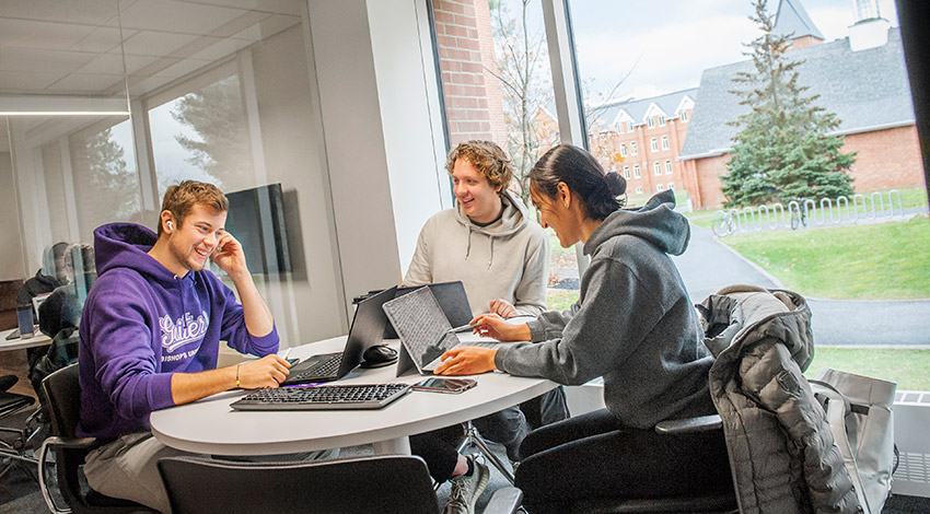 Students working in the Library