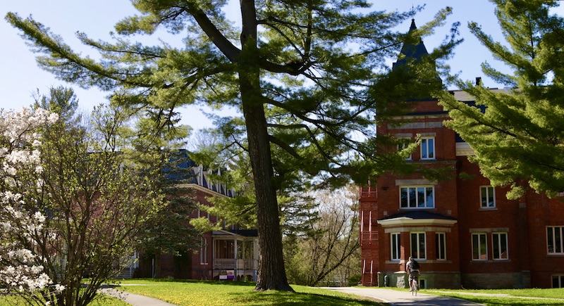 Photo of the campus building under majestic pine trees.