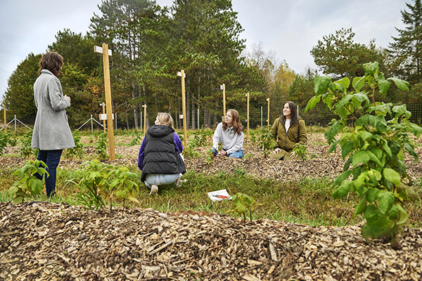 Students working in the field as part of the sustainable agriculture program