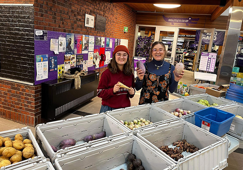 Sustainable Development Student Interns at the kiosk for winter baskets