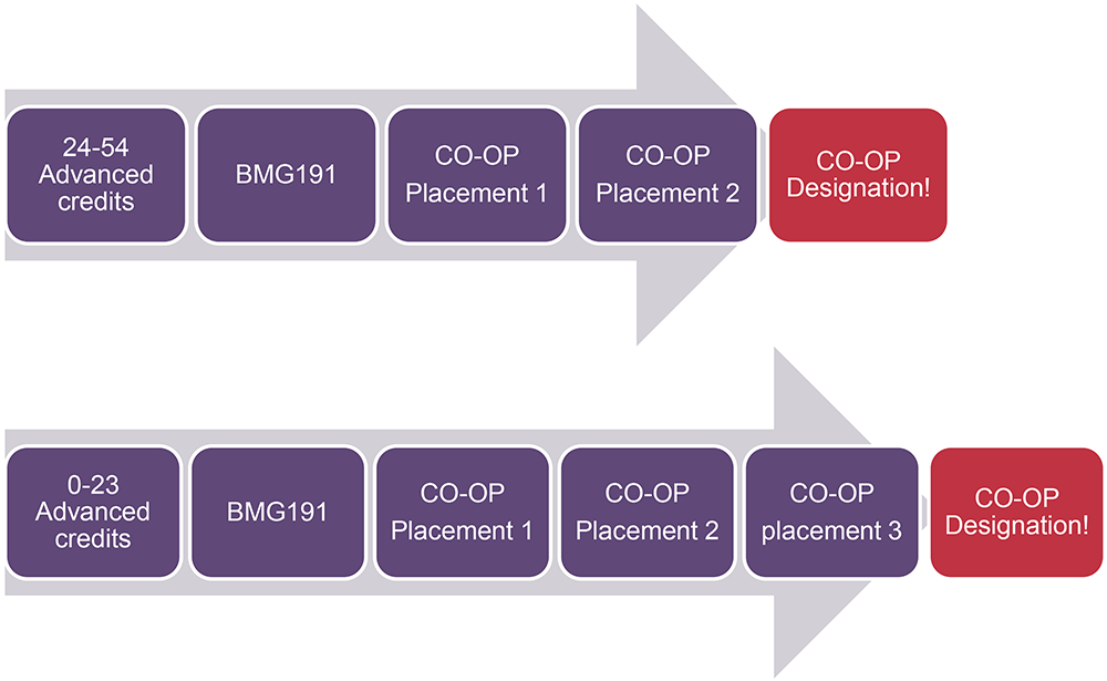 Graphic showing the progression to graduate with Co-op designation.
