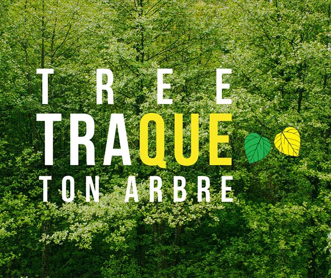 Tree Traque words over image of forest