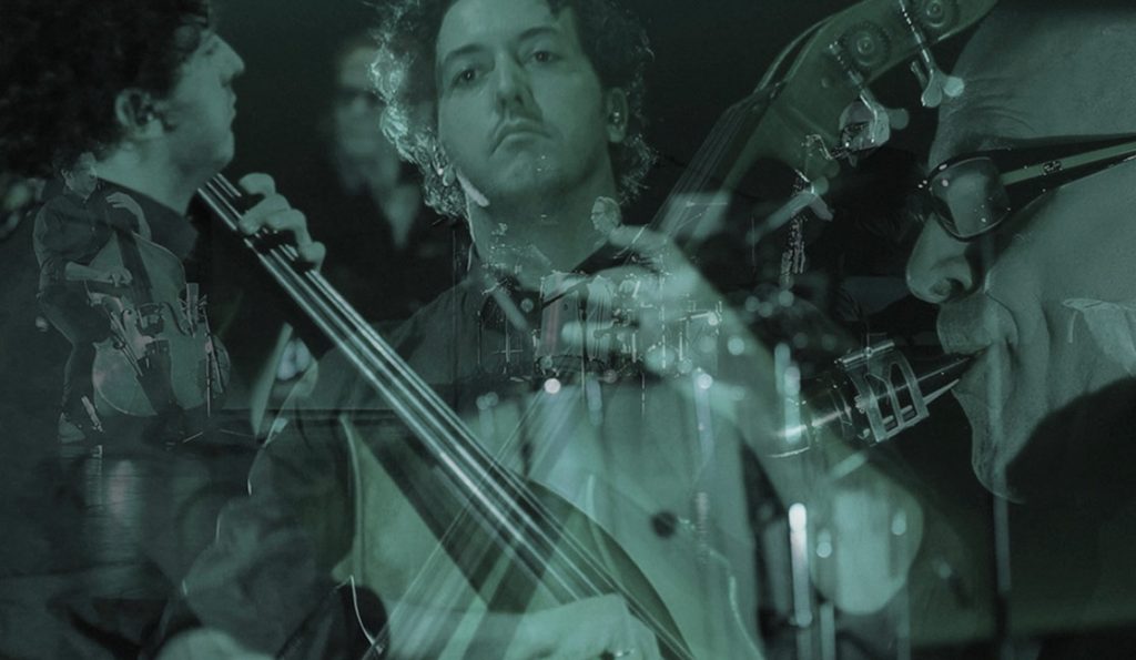 Mathieu Désy, double bassist.