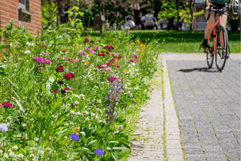 COP 30: Québec universities more united than ever for the climate
