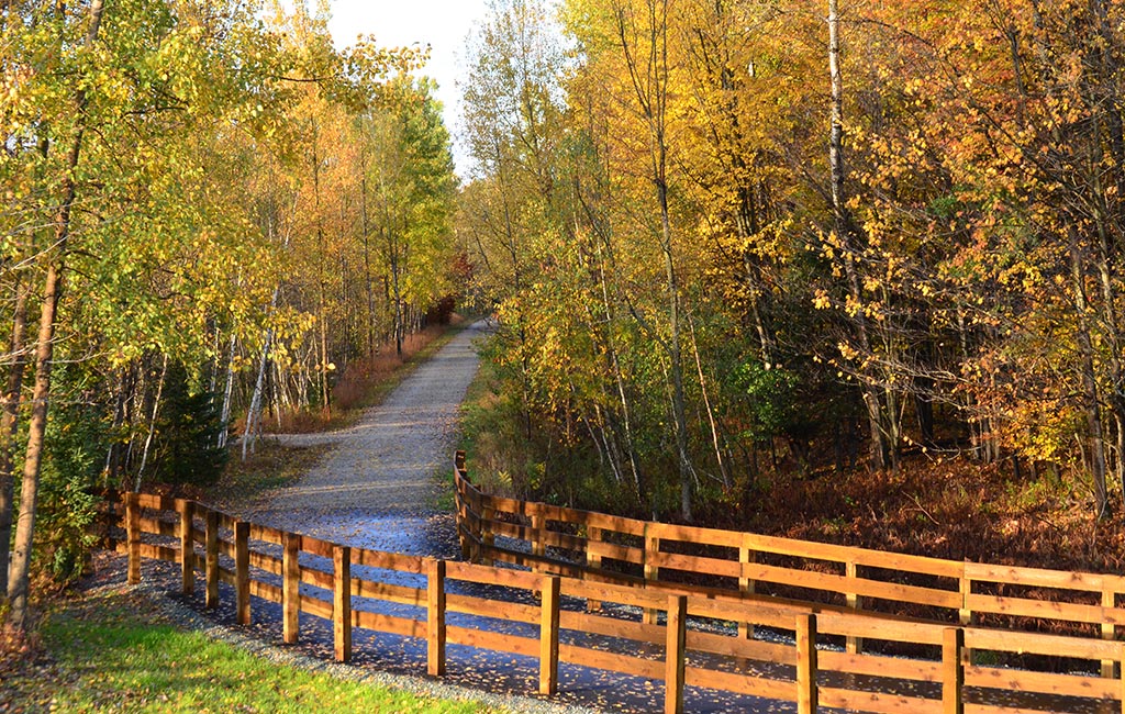 Green Route bike trail near campus