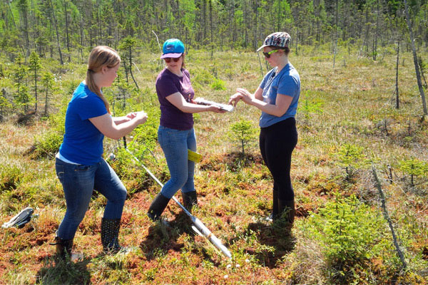 Students doing field work