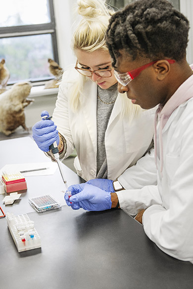 Students doing an experiment in one of our modern labs.