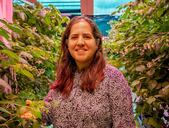 A resized photo of CANberries, a woman standing in front of many berry bushes inside a greenhouse.