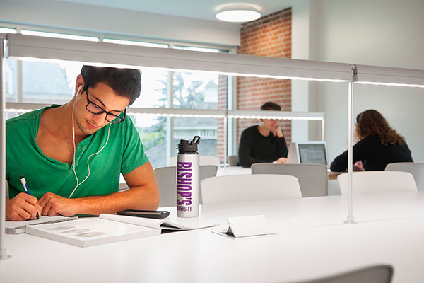Student studying in the Library Learning Commons